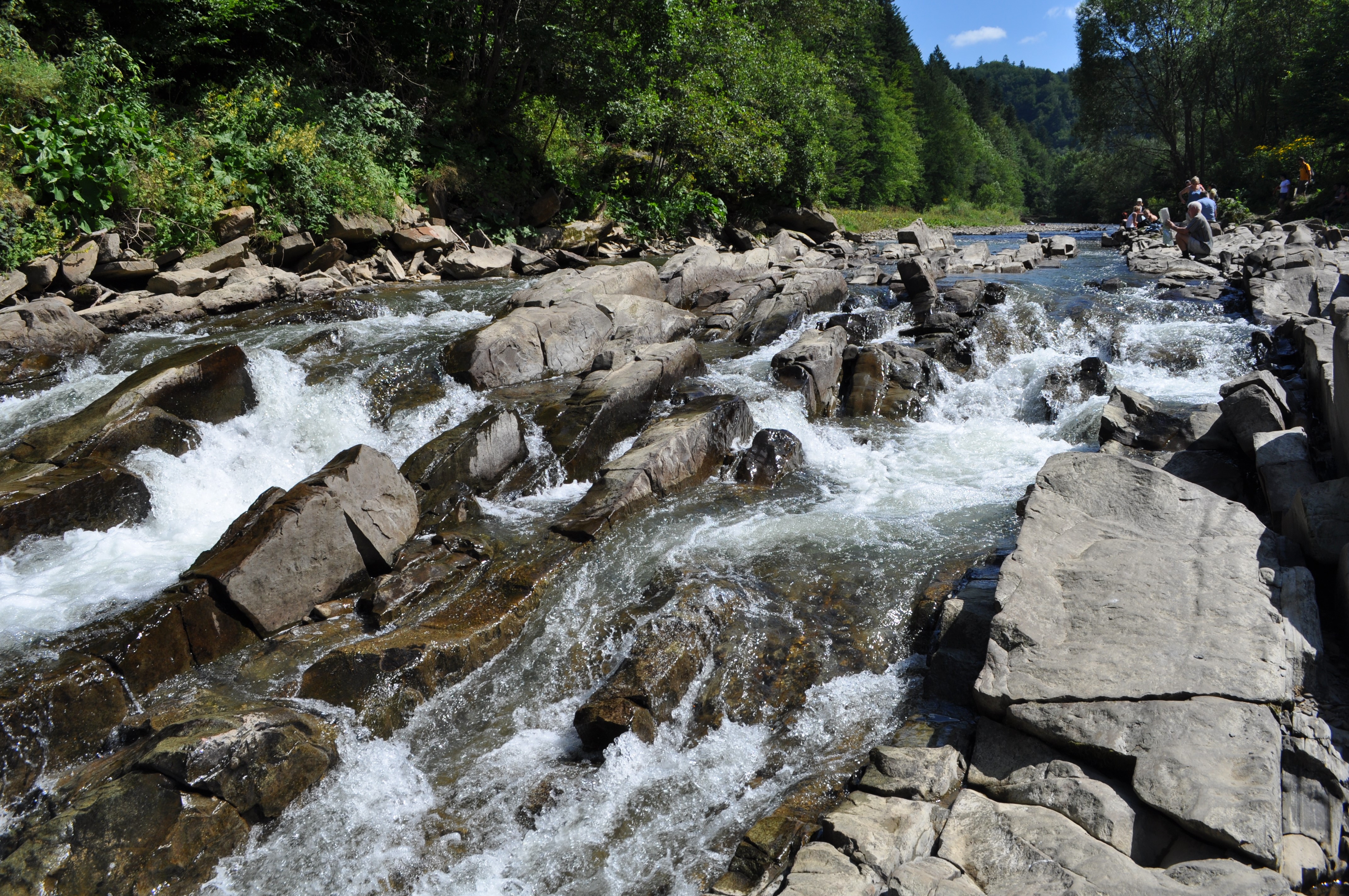 2022.03.31 Sine Wiry i Łopienka(archiwum)
